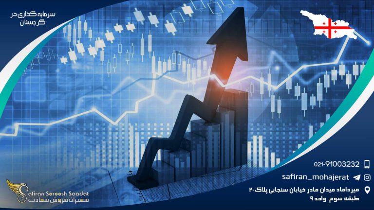 سرمایه گذاری در گرجستان