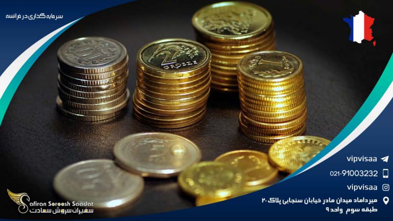 سرمایه گذاری در فرانسه