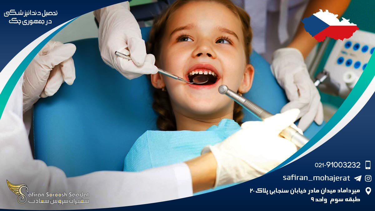 تحصیل دندانپزشکی در چک