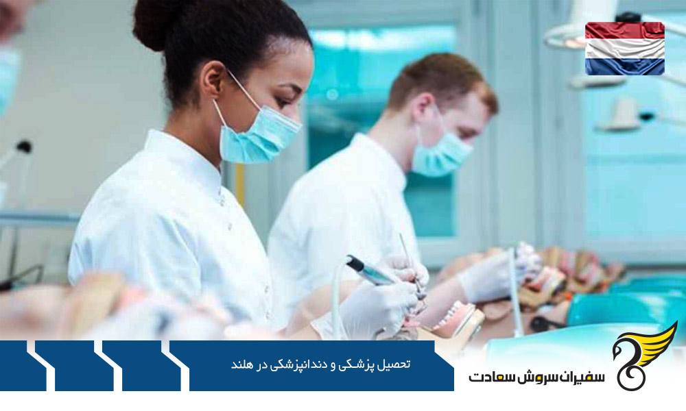 دانشگاه های برتر تحصیل پزشکی و دندانپزشکی در هلند
