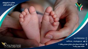 مهاجرت از طریق تولد در آفریقای جنوبی