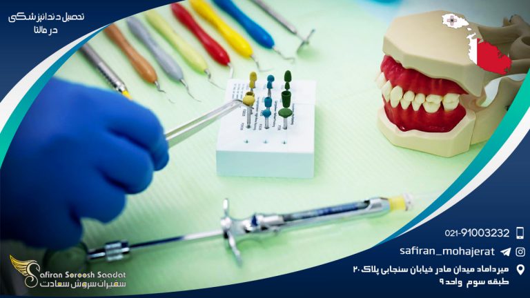تحصیل دندانپزشکی در مالتا