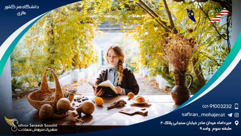 دانشگاه هنر کشور مالزی