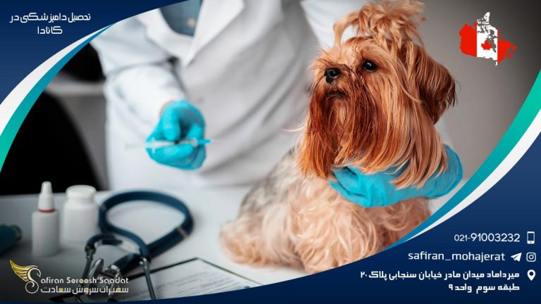 تحصیل دامپزشکی در کانادا