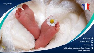 تولد در فرانسه