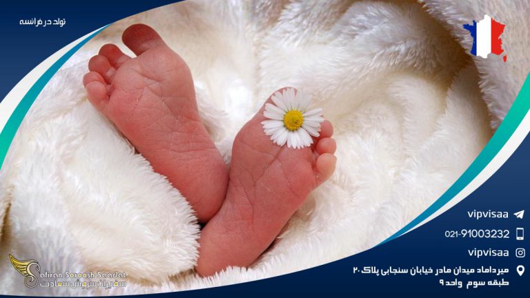 تولد در فرانسه