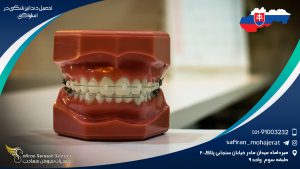 تحصیل دندانپزشکی در اسلواکی
