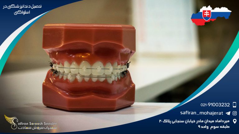 تحصیل دندانپزشکی در اسلواکی