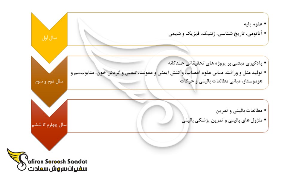 ساختار برنامه های پزشکی در لیتوانی