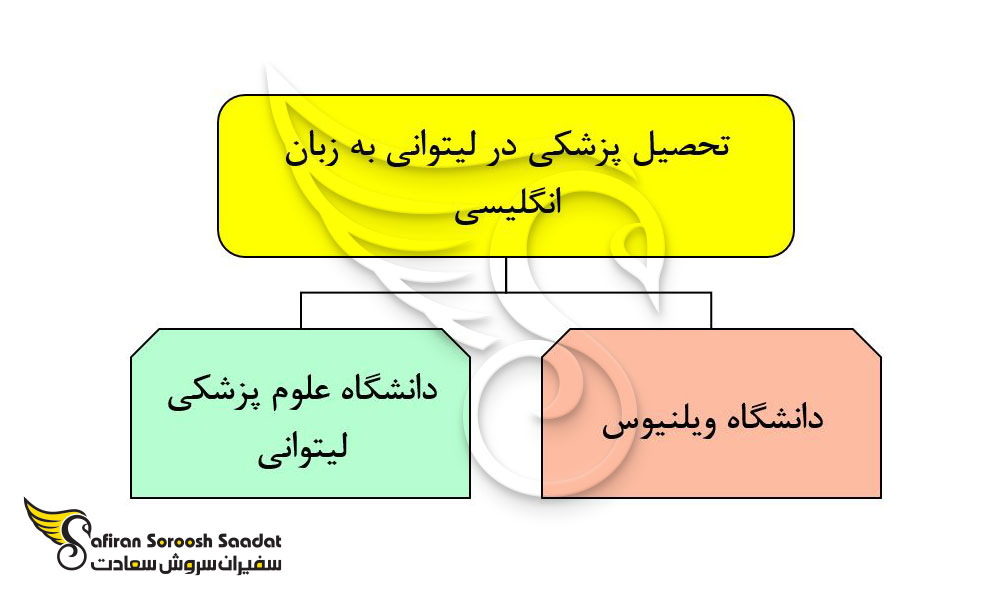 تحصیل پزشکی در لیتوانی به زبان انگلیسی 