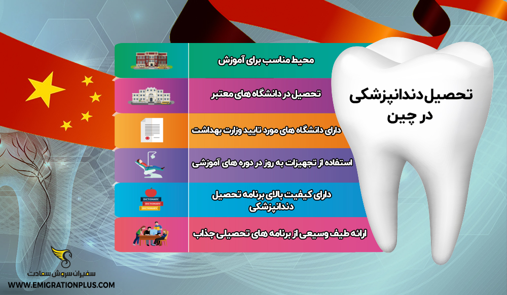 اینفوگرافی تحصیل دندانپزشکی در چین