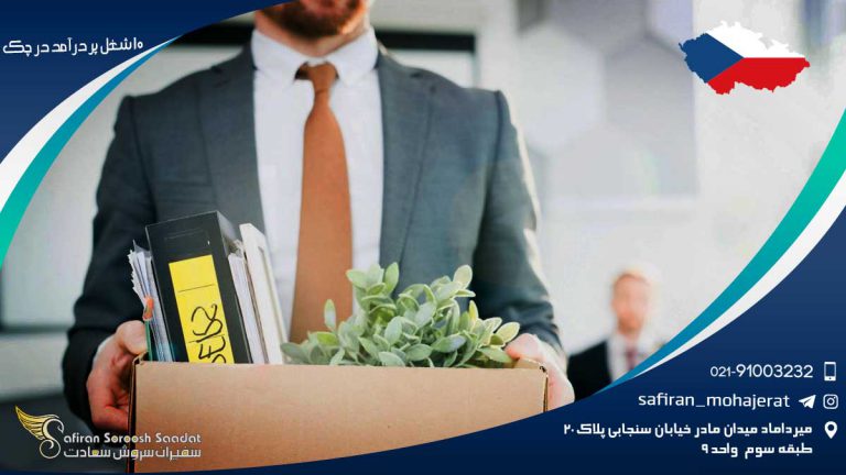 10 شغل پر درآمد در چک