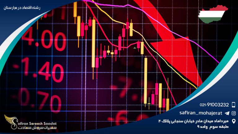 رشته اقتصاد در مجارستان