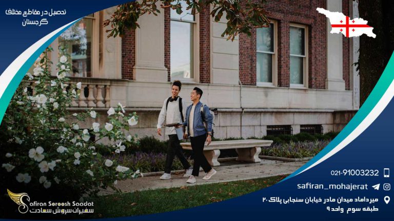 تحصیل در مقاطع مختلف گرجستان