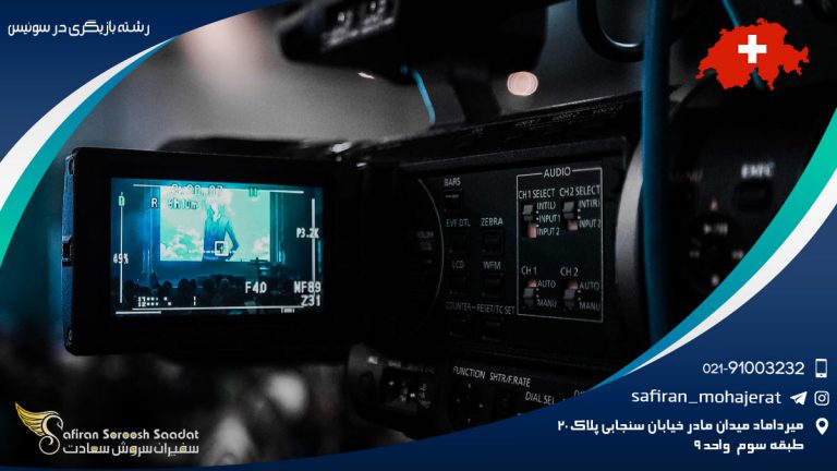 رشته بازیگری در سوئیس