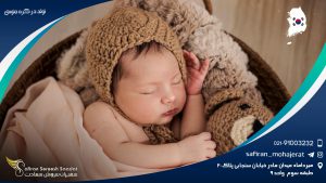 تولد در کره جنوبی