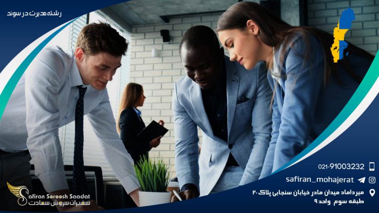 رشته مدیریت در سوئد