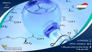 رشته فیزیک در مجارستان