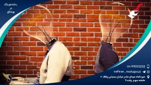 رشته فیزیک در موناکو