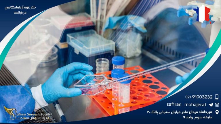 کار علوم آزمایشگاهی در فرانسه