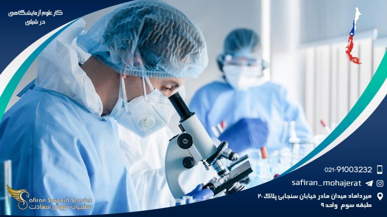 کار علوم آزمایشگاهی در شیلی