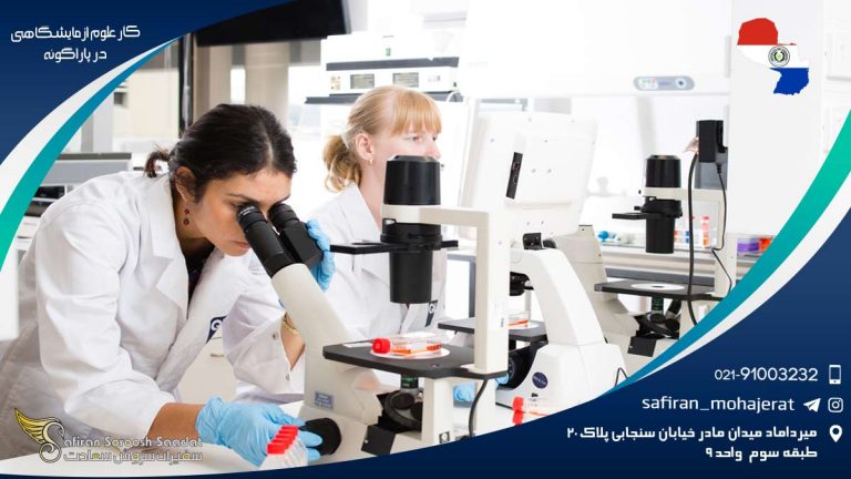 کار علوم آزمایشگاهی غذایی در پاراگوئه