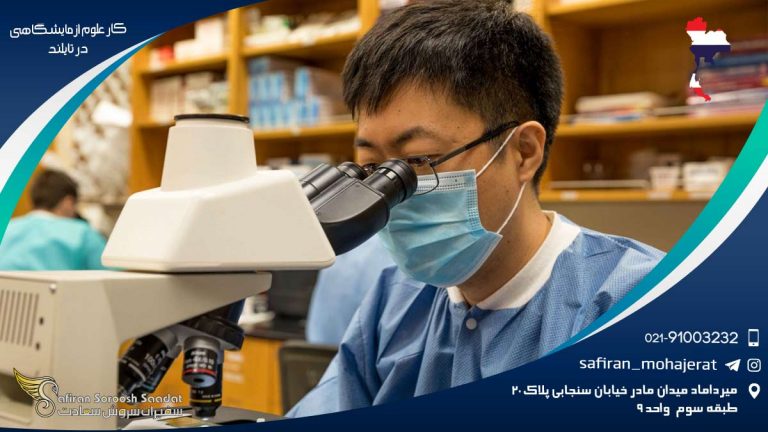 کار علوم آزمایشگاهی در تایلند