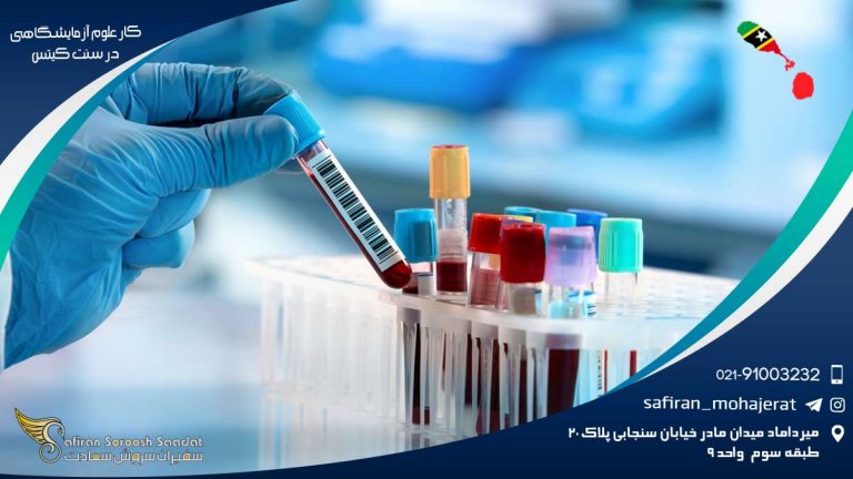 کار علوم آزمایشگاهی در سنت کیتس