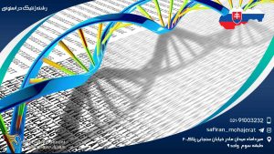 رشته ژنتیک در اسلواکی