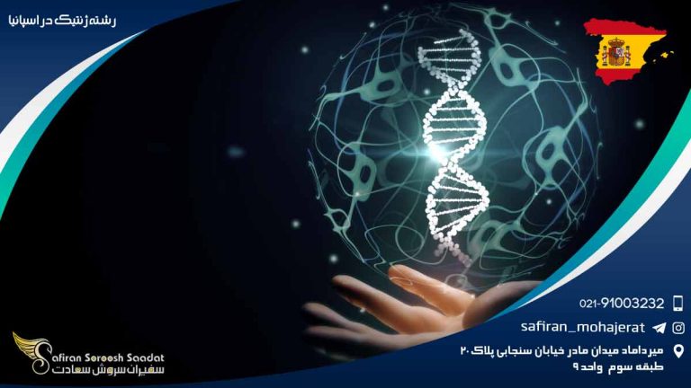 رشته ژنتیک در اسپانیا