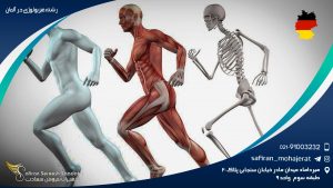 رشته فیزیولوژی در آلمان