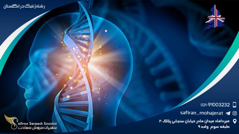رشته ژنتیک در انگلستان