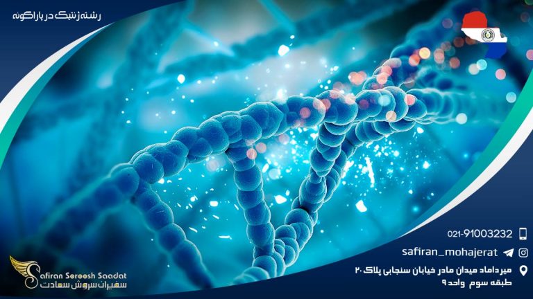 رشته ژنتیک در پاراگوئه