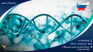 رشته ژنتیک در اسلوونی