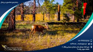رشته زمین شناسی در پرتغال