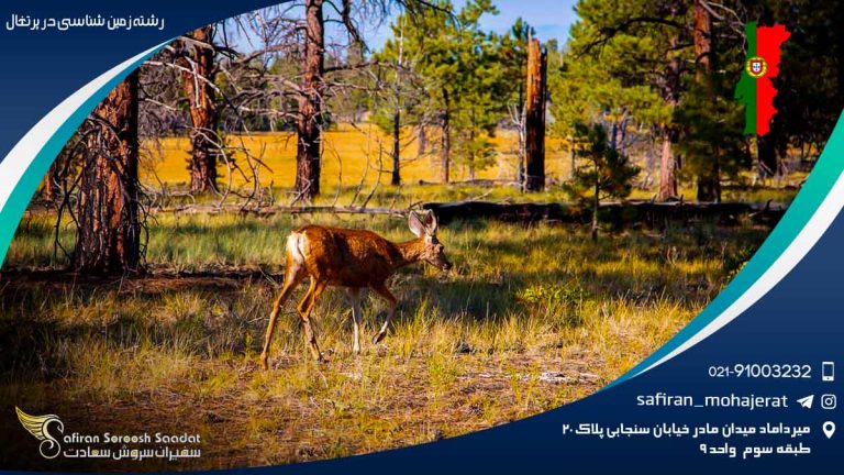 رشته زمین شناسی در پرتغال
