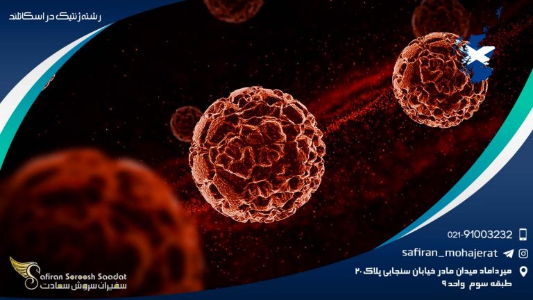 رشته ژنتیک در اسکاتلند