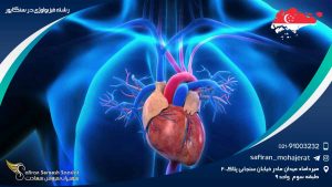 رشته فیزیولوژی در سنگاپور