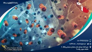 رشته آنکولوژی در مالتا