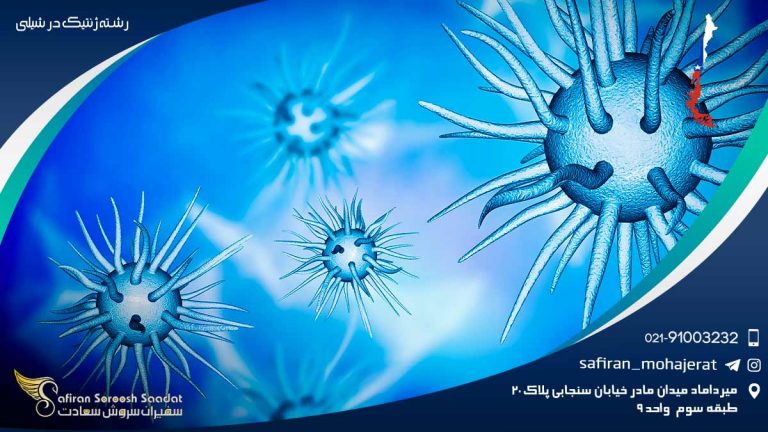 رشته ژنتیک در شیلی