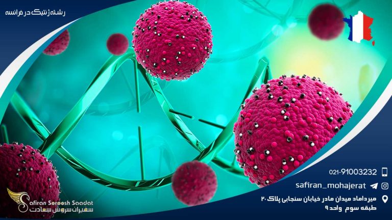 رشته ژنتیک در فرانسه