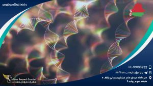 رشته ژنتیک در بلاروس