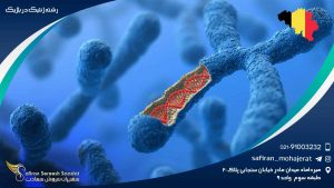 رشته ژنتیک در بلژیک