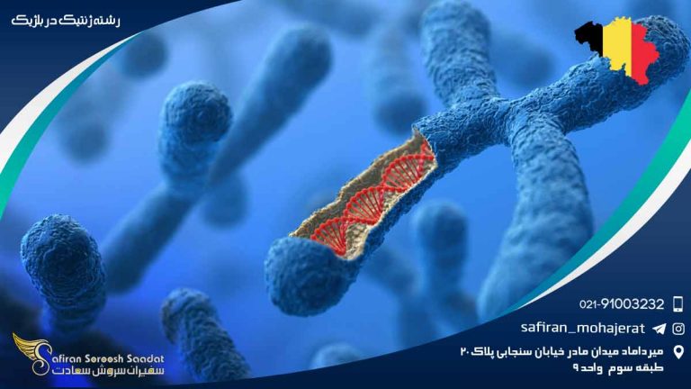 رشته ژنتیک در بلژیک