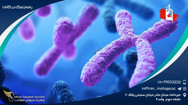 رشته ژنتیک در کانادا