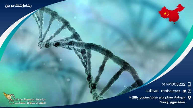 رشته ژنتیک در چین