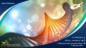 رشته ژنتیک در قبرس