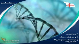 تحصیل ژنتیک کاربردی در دانشگاه ایلیا گرجستان