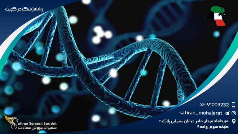 رشته ژنتیک در کویت