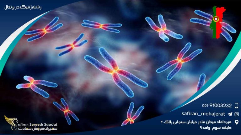 رشته ژنتیک در پرتغال